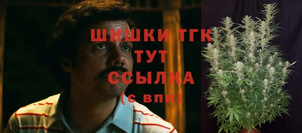крисы Балахна