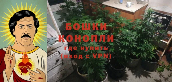 сатива Баксан