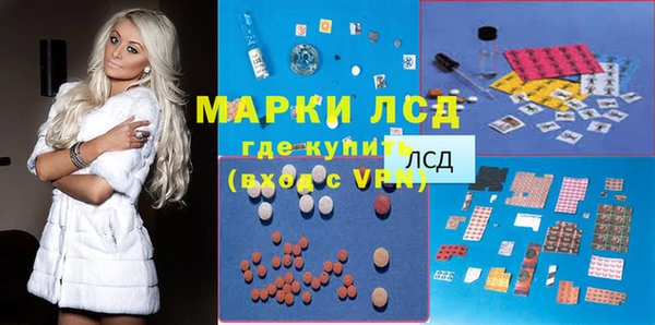 сатива Баксан