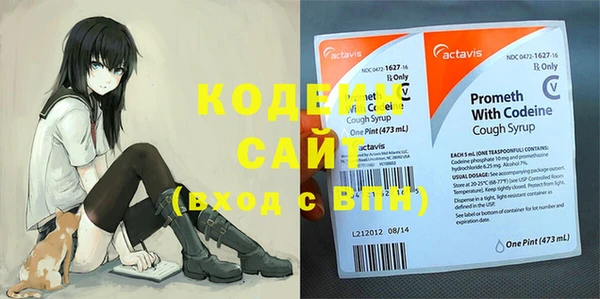 сатива Баксан